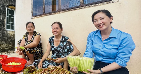 Loại cỏ dại vị ngọt ở đất Cà Mau mọc la liệt, dân nhổ lên bóc thành rau đặc sản vạn người mê