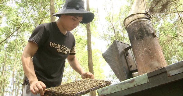 Nghề nuôi con “siêng nhất hành tinh”, nay đây mai đó, dân Hà Tĩnh thu cả trăm triệu/năm